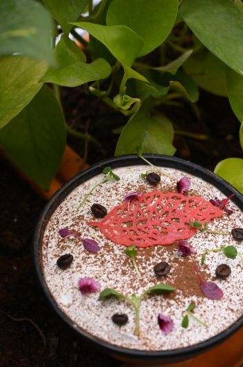 The Secret Garden Sweet Tooth
